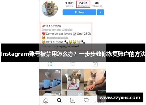 Instagram账号被禁用怎么办？一步步教你恢复账户的方法
